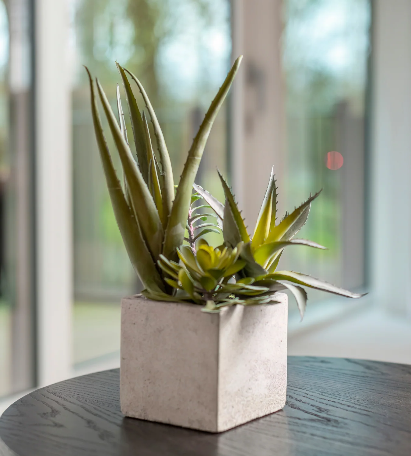 Assorted Artificial Cactus in Grey Pot - Image 3