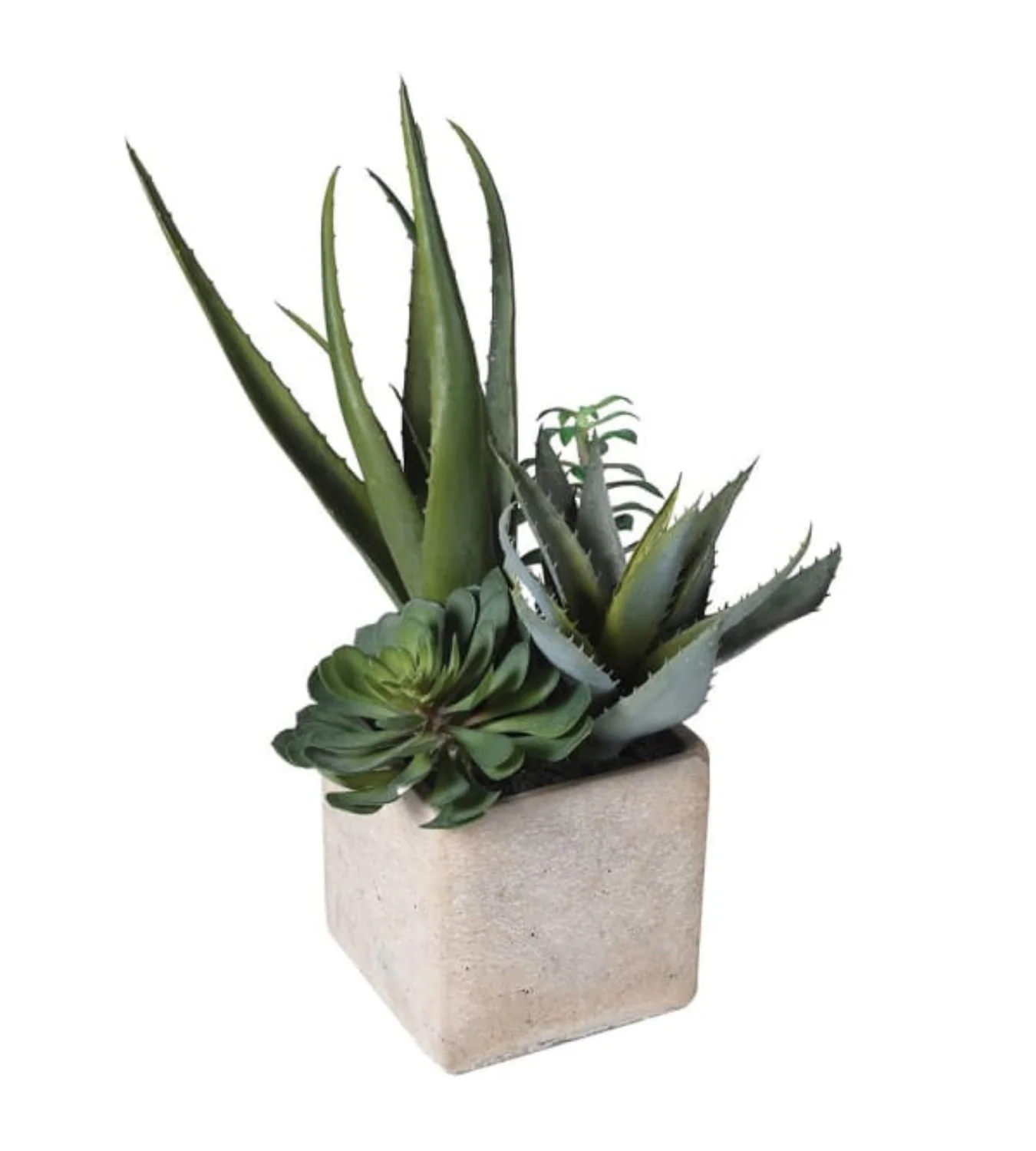 Assorted Artificial Cactus in Grey Pot - Image 4