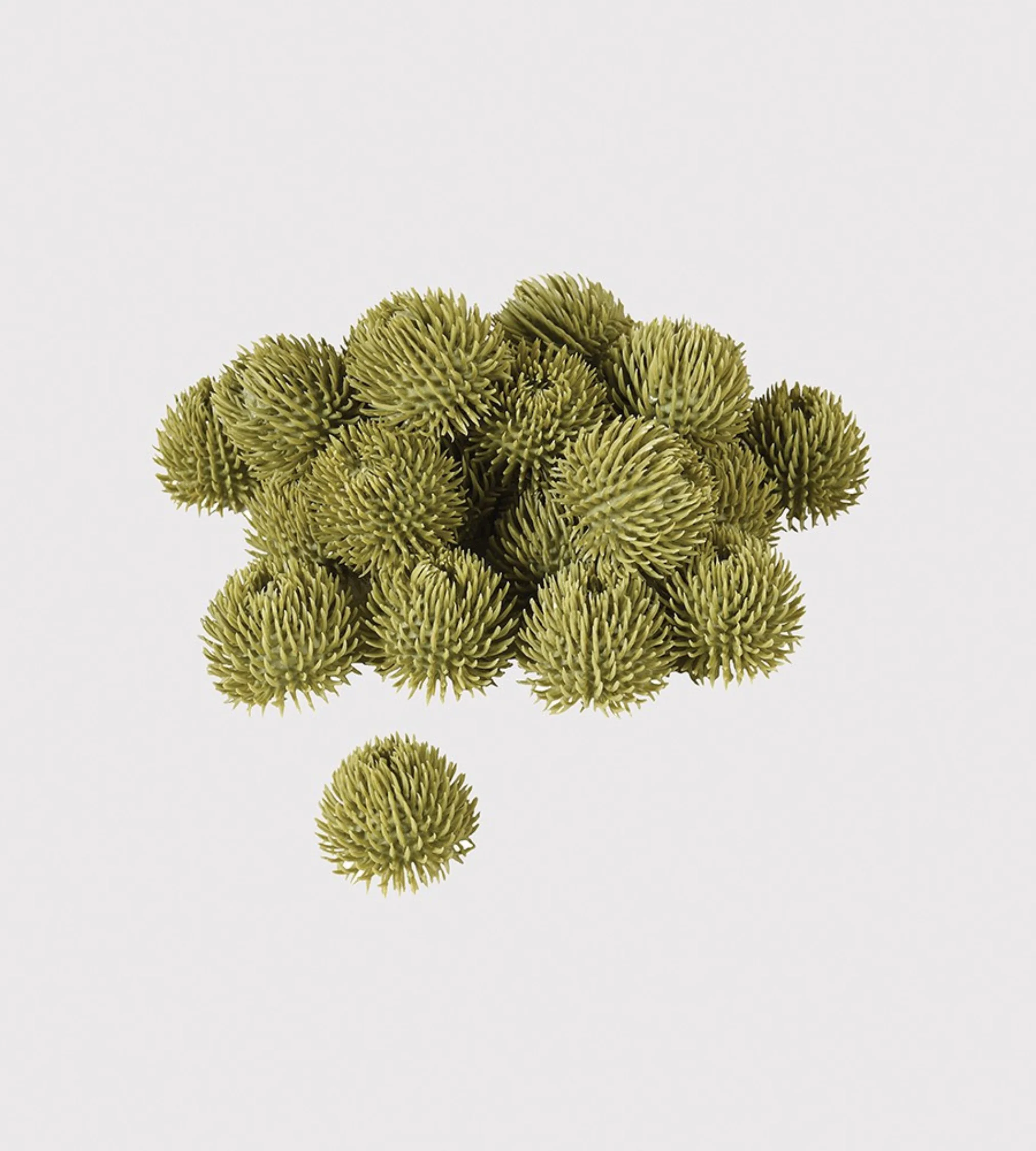 Bag of 24 Green Echinops Balls - Image 4
