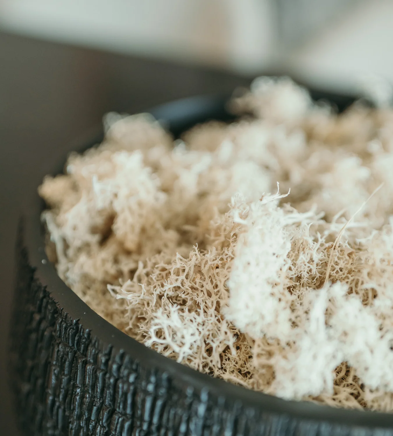 Bag Of Real White Moss - Image 3